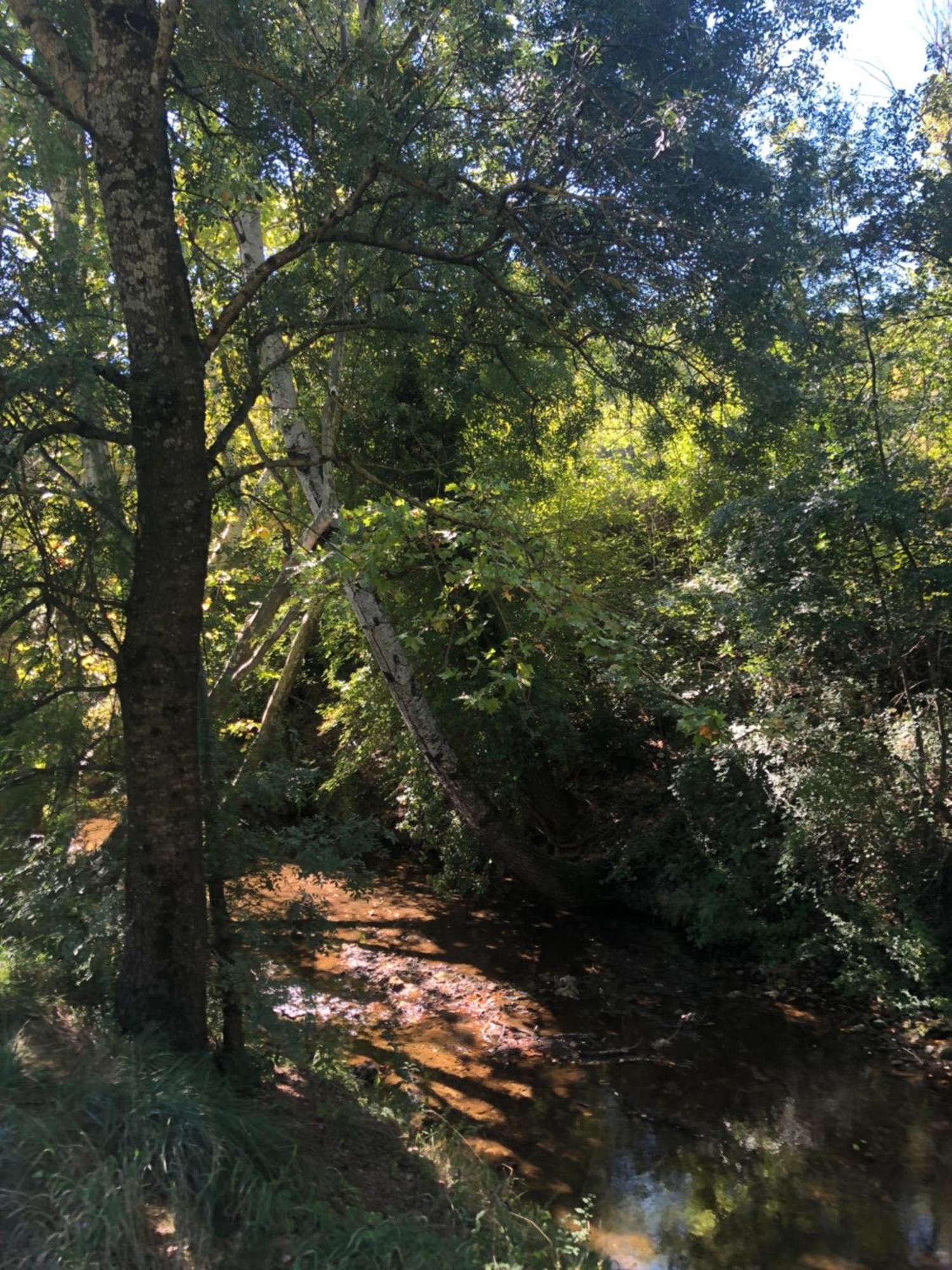 Vila L'Olivier Fleurie Barjols Exteriér fotografie