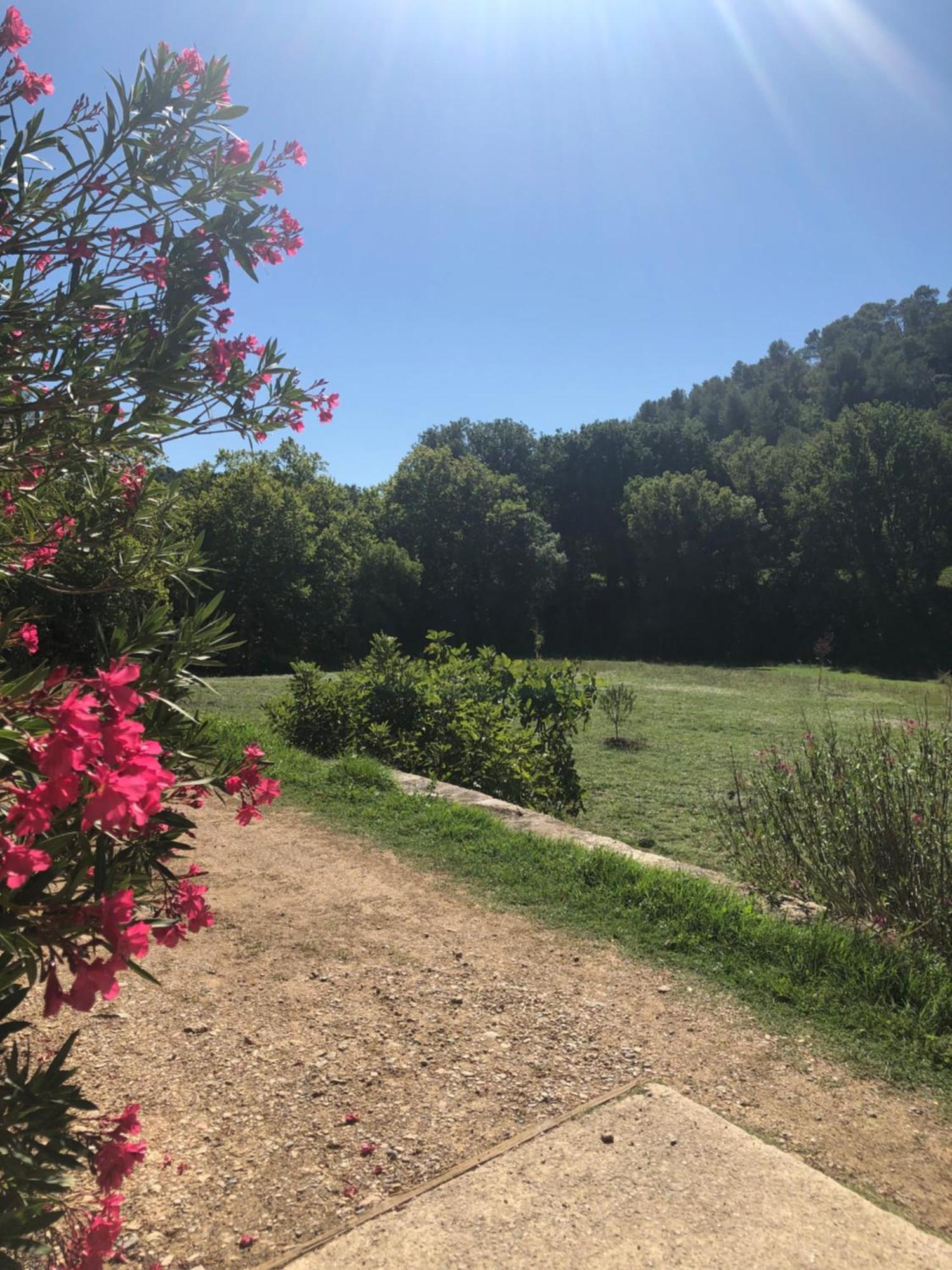 Vila L'Olivier Fleurie Barjols Exteriér fotografie