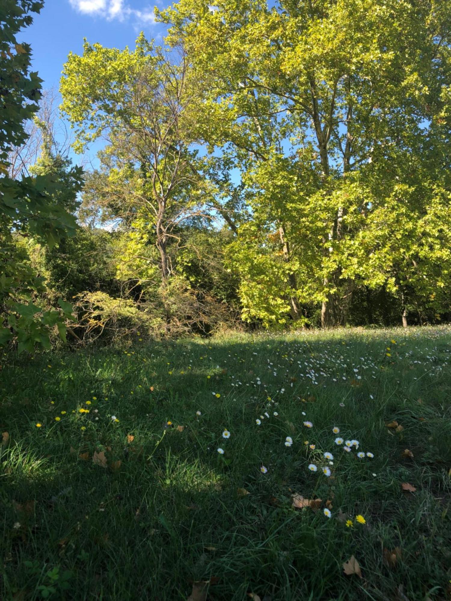 Vila L'Olivier Fleurie Barjols Exteriér fotografie
