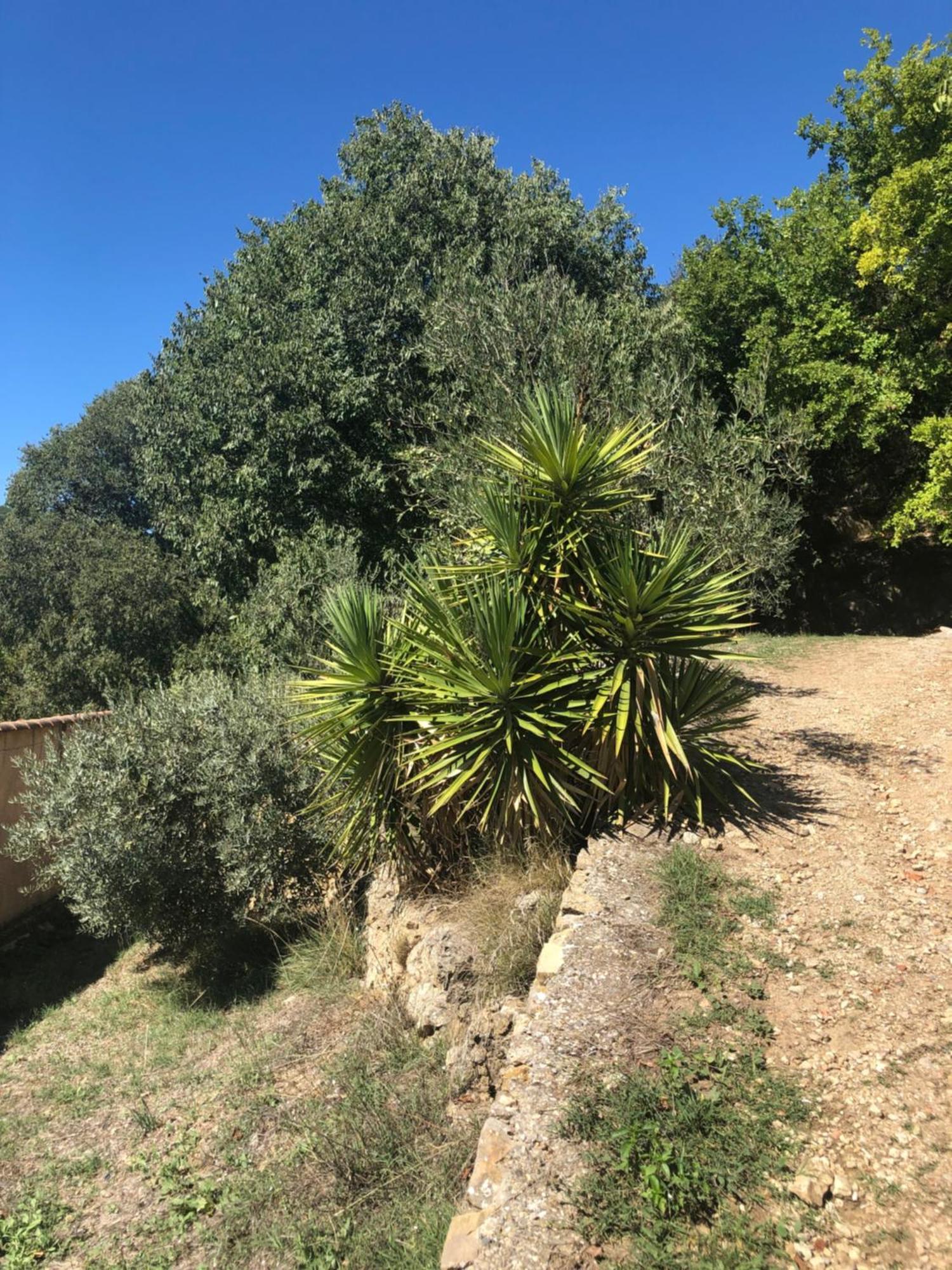 Vila L'Olivier Fleurie Barjols Exteriér fotografie