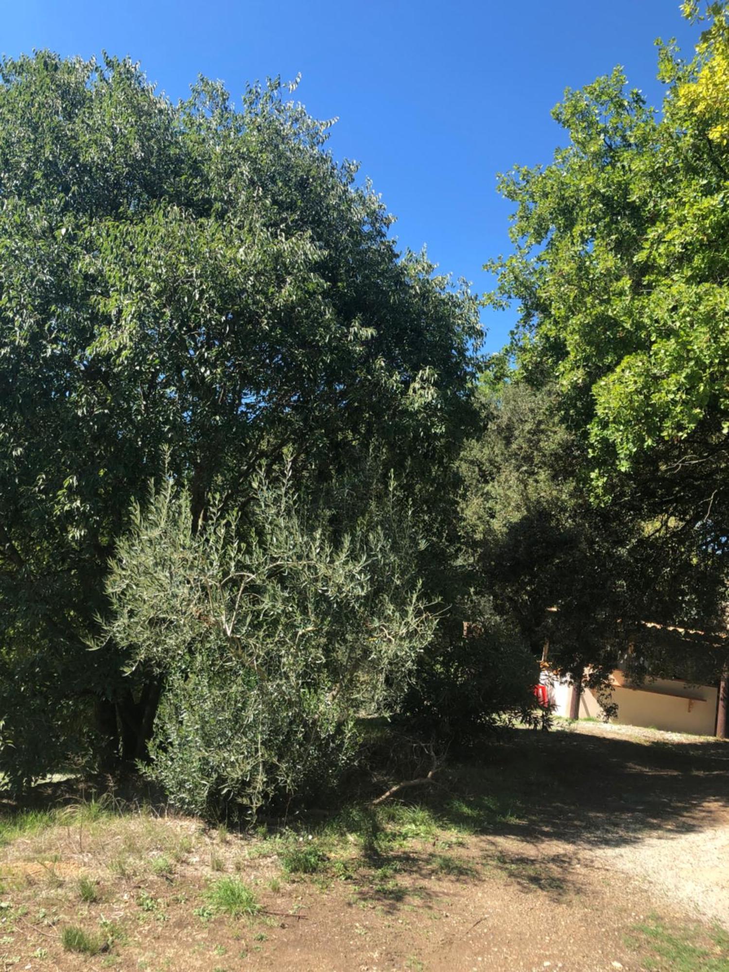 Vila L'Olivier Fleurie Barjols Exteriér fotografie