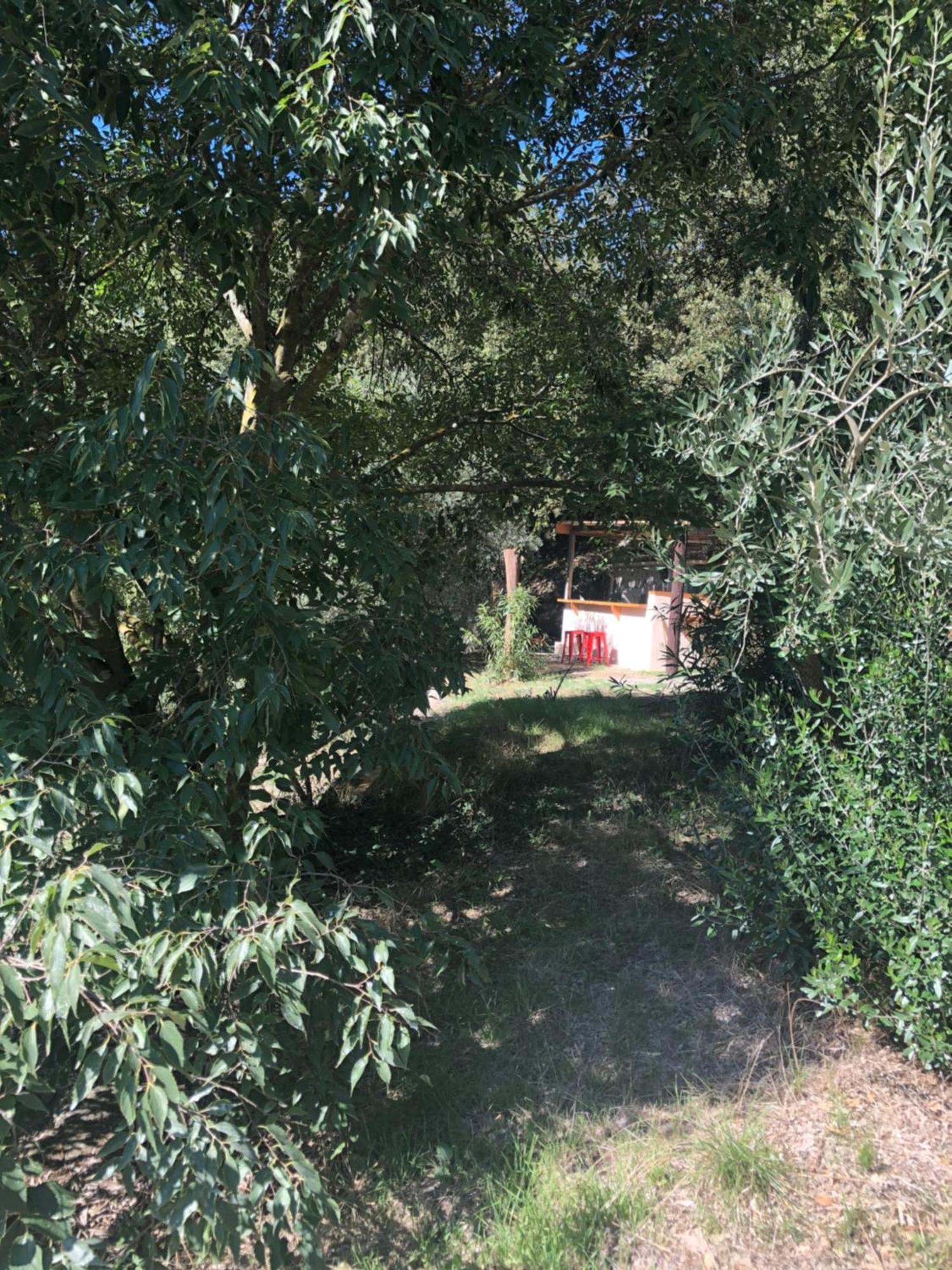 Vila L'Olivier Fleurie Barjols Exteriér fotografie