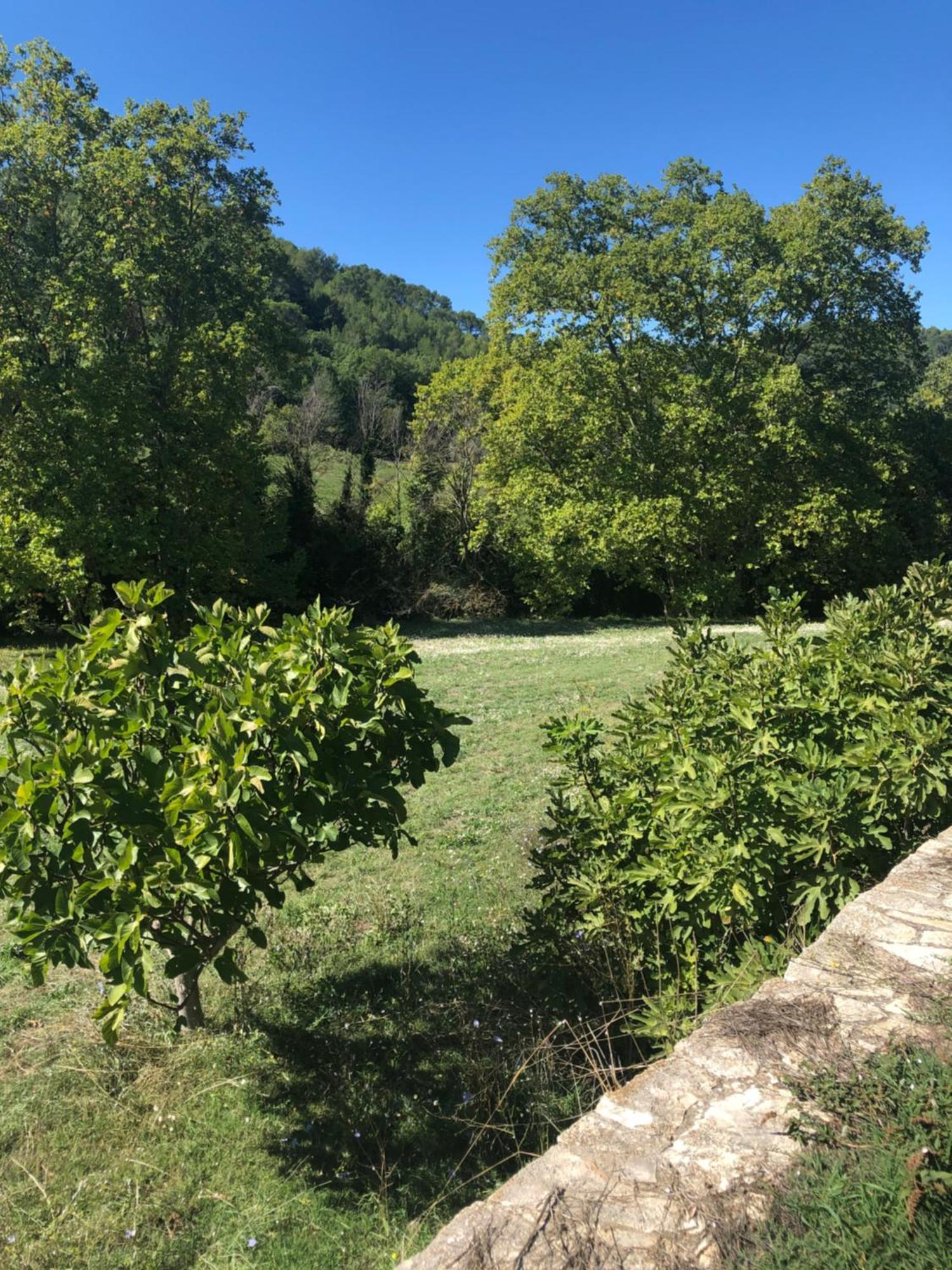 Vila L'Olivier Fleurie Barjols Exteriér fotografie