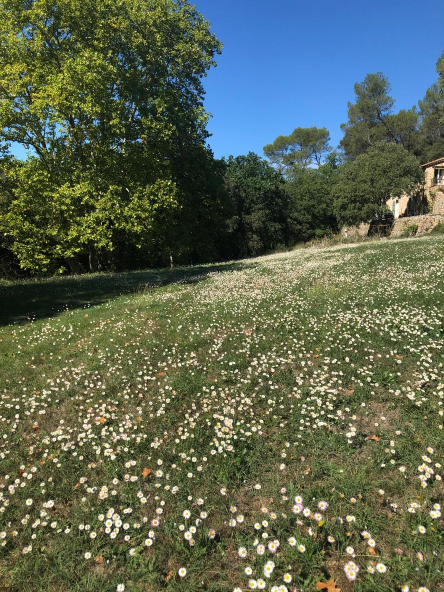 Vila L'Olivier Fleurie Barjols Exteriér fotografie