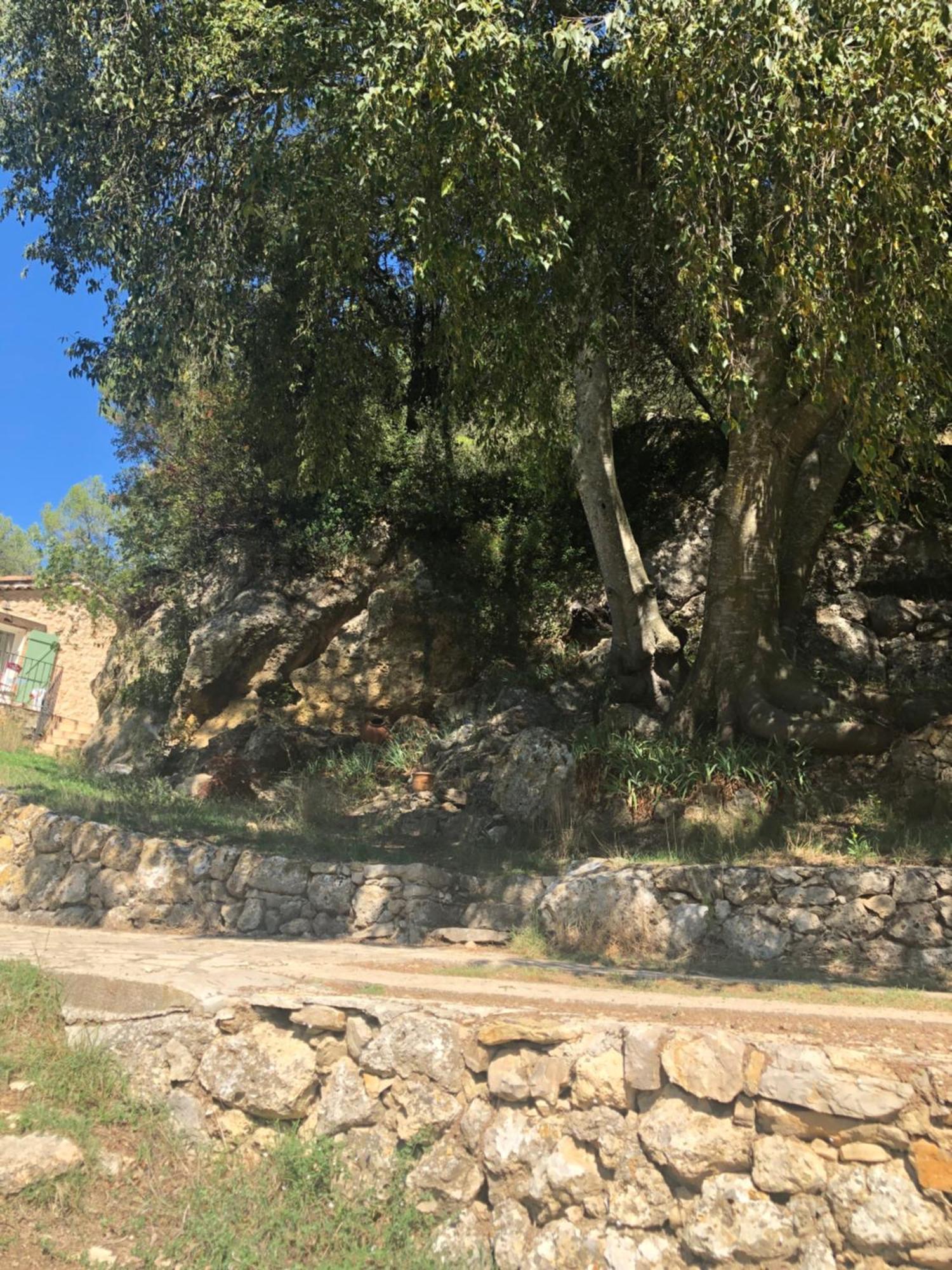 Vila L'Olivier Fleurie Barjols Exteriér fotografie