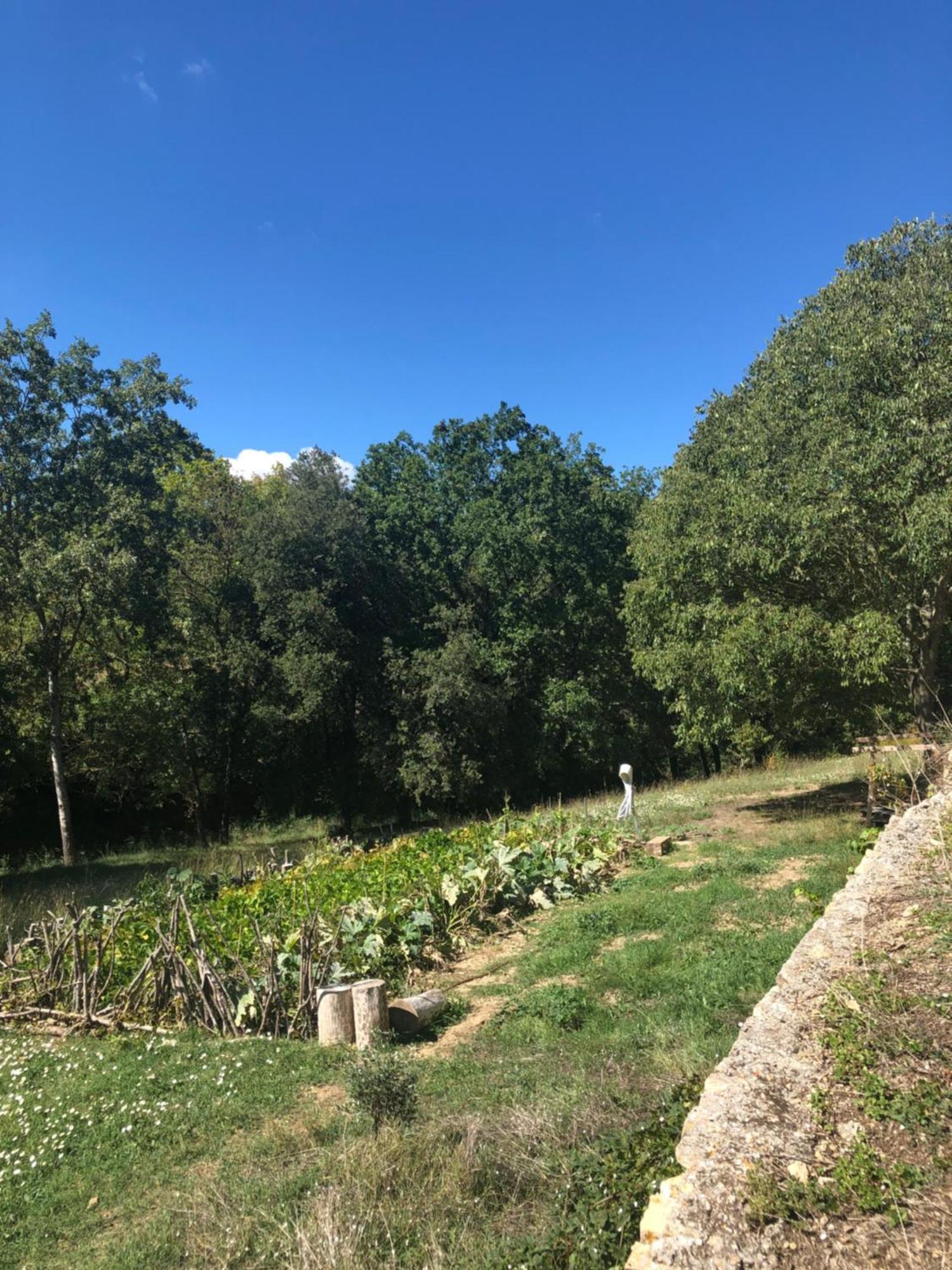 Vila L'Olivier Fleurie Barjols Exteriér fotografie