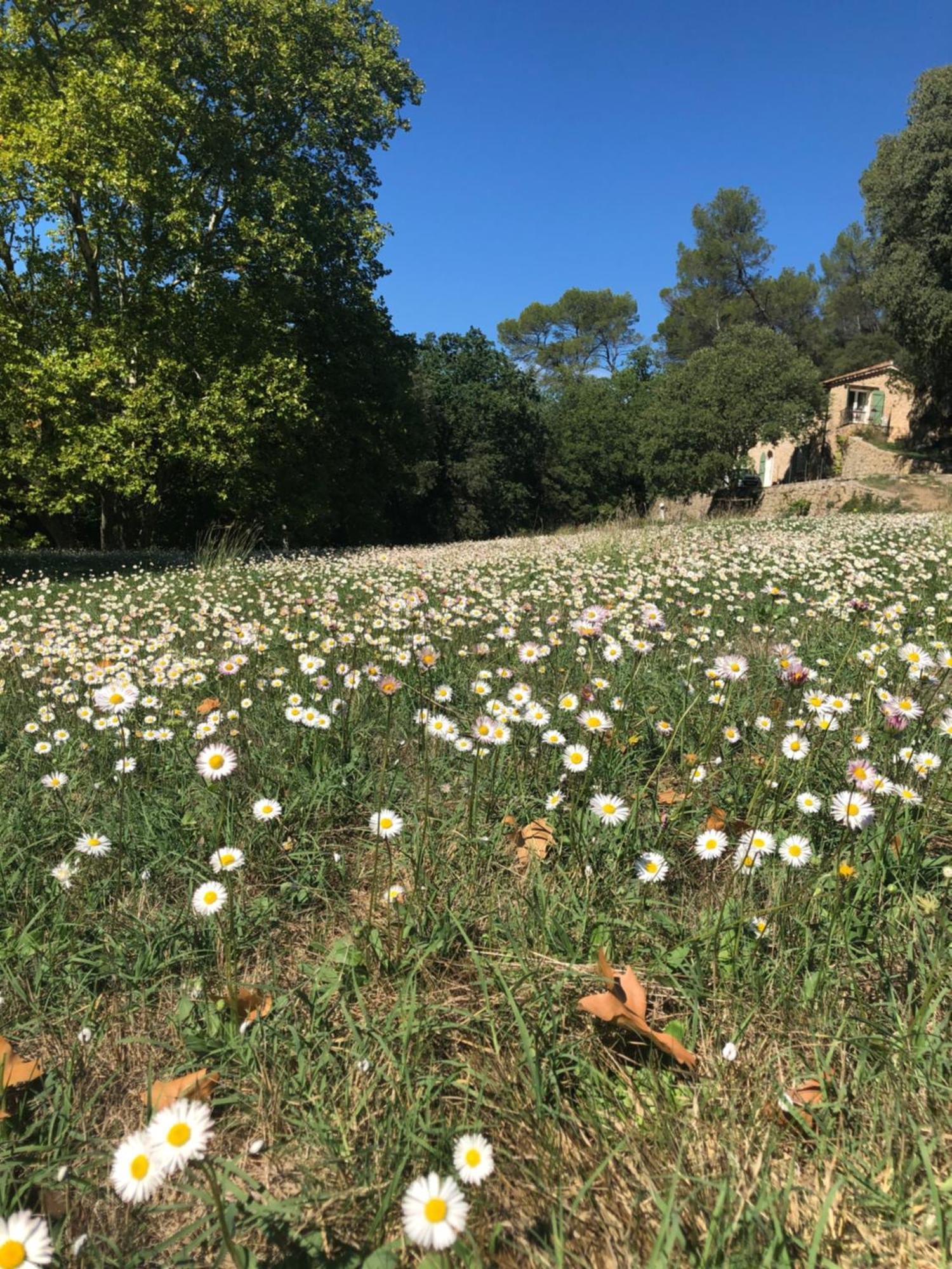 Vila L'Olivier Fleurie Barjols Exteriér fotografie