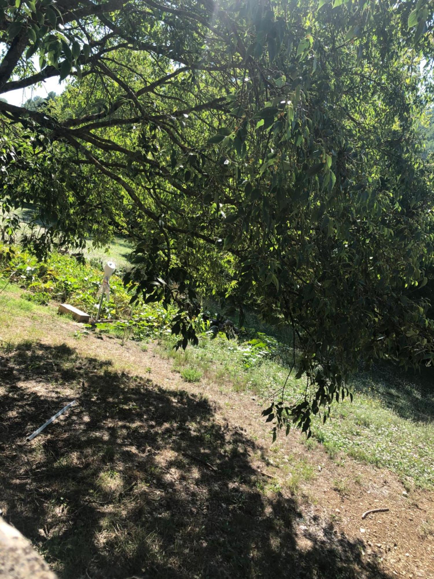 Vila L'Olivier Fleurie Barjols Exteriér fotografie