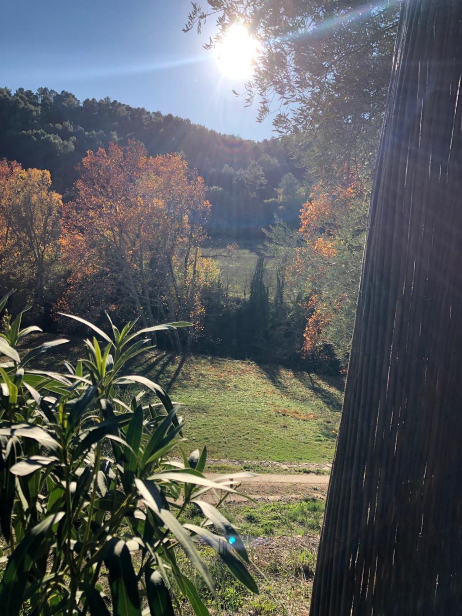Vila L'Olivier Fleurie Barjols Exteriér fotografie